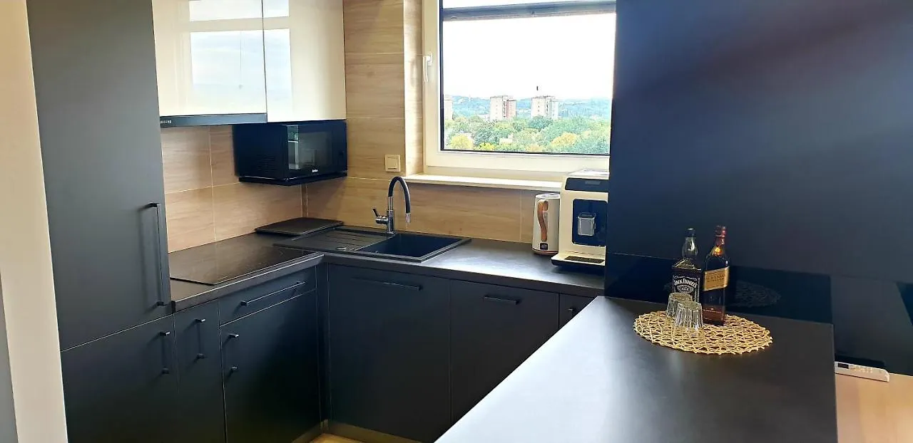 Luksusowy Apartament Z Tarasem Krakow Apartment